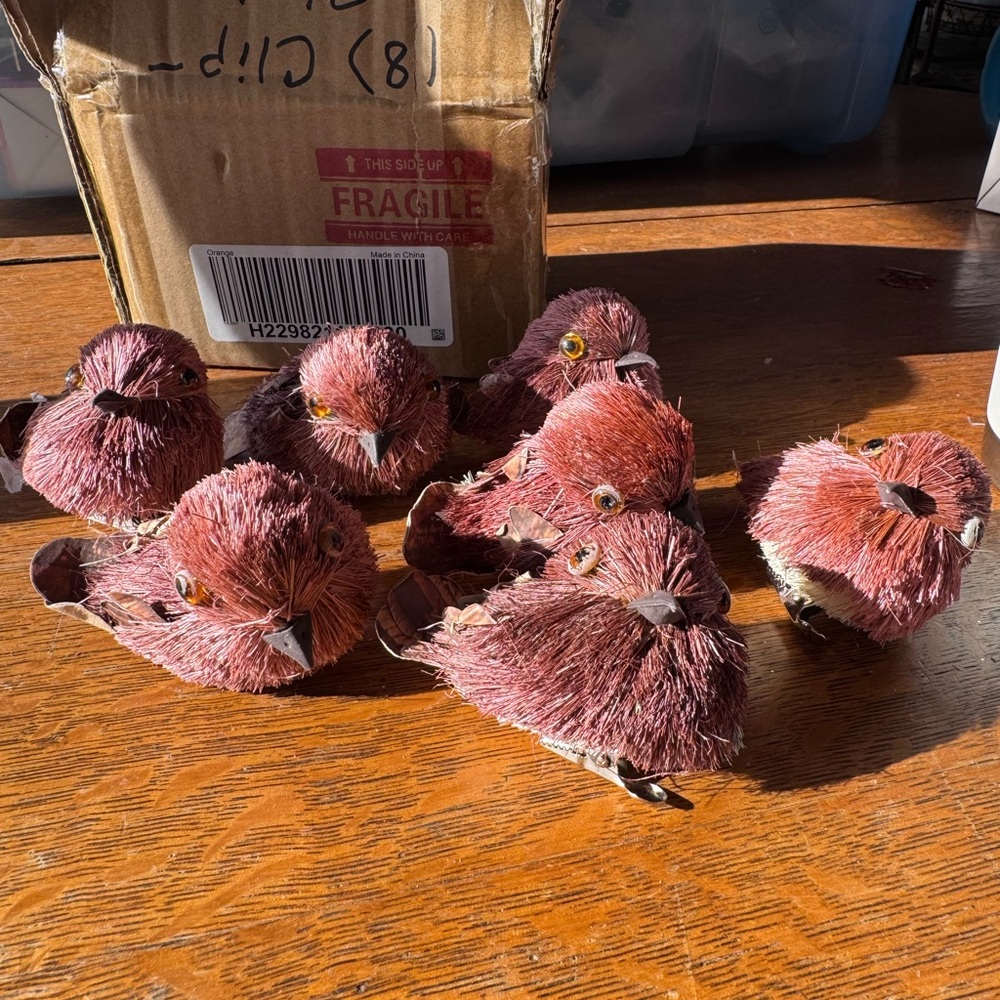 Set of 8 Harvest Sisal Bird Clips by Valerie